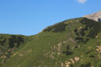 2015-07-01_1Pano-bei-Lacke (442).JPG